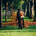 Exceeding Expectations in Lawn Maintenance Services