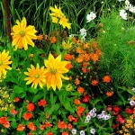 Why Smart Homeowners Rely on Seasonal Plant Flower Services (and You Should Too)