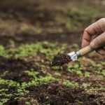 Expert Fertilization Services in MS: Your Trusted Partner for a Vibrant Lawn