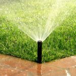 Professional Lawn Irrigation Service for Year-Round Green Lawns