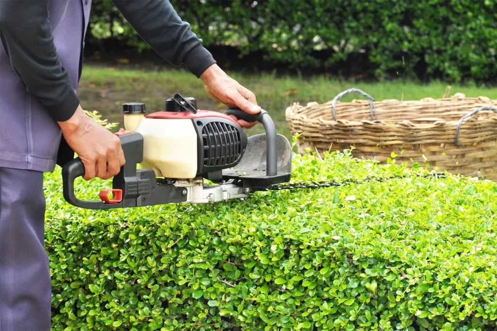 Lawn Maintenance Service