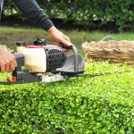 Lawn Maintenance Service in Hattiesburg: Year-Round Care for Your Outdoor Space