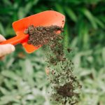 Fertilization Service for Lawns: Boosting Growth, Color, and Health