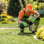 Landscaping Management Services That Combine Technology, Sustainability, and Style