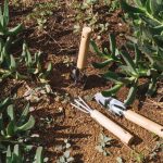 How Professional Mulching Services Improve Soil Structure, Moisture Retention, and Plant Growth