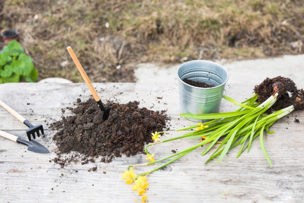 How Soil Testing Can Transform the Health of Your Entire Landscape