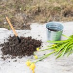 How Soil Testing Can Transform the Health of Your Entire Landscape