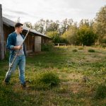 Common Lawn Problems in Mississippi and How to Identify Them Early