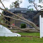 How to Prepare Your Yard Before Hurricane Season in Mississippi