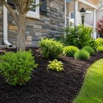 Create a Thriving Yard With Professional Mulching Services